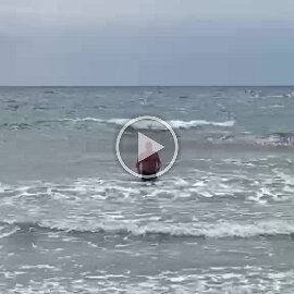 VID-20260422-WA0016