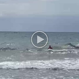 VID-20260422-WA0017