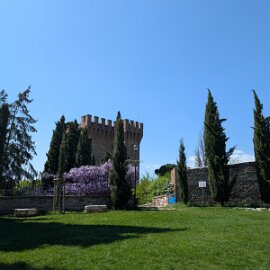 PXL_20260418_111815559.MP