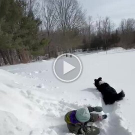 VID-20260213-WA0005