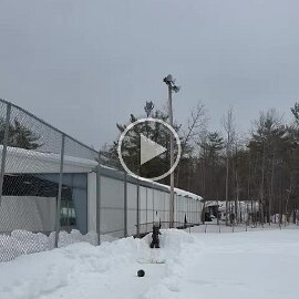 VID-20260214-WA0026