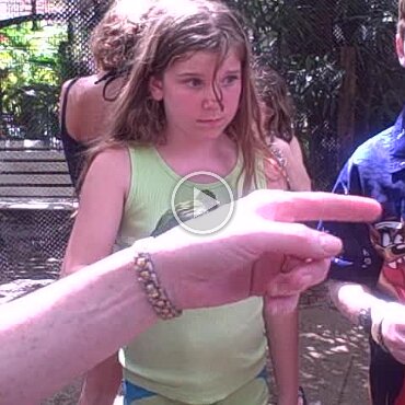VID00029f